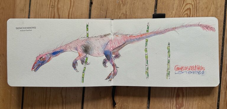 Saurier – Skizzen im Senckenbergmuseum Frankfurt